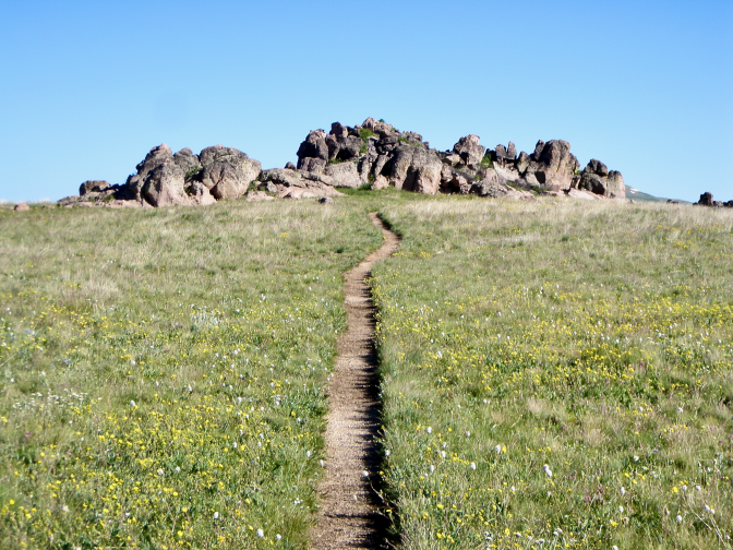Bighorns - trail