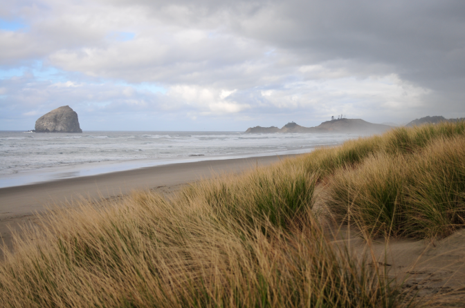 Beach Grass with Haystack Rock, Lincoln City OR